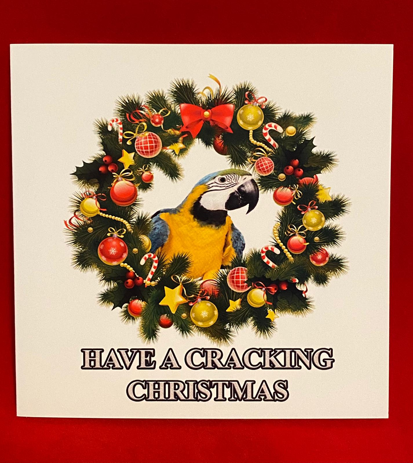 10 pack Macaw Christmas card