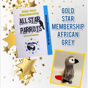 Gold Star Membership African Grey Toy