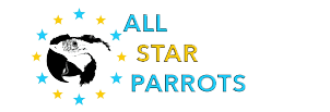 All Star Parrots